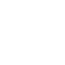 Automotive Paint